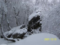 silvestr 2007